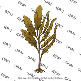 Brown alga