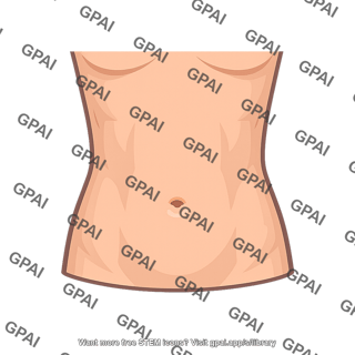 Human abdomen