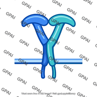 Integrin