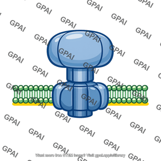 Atp synthase stroma facing