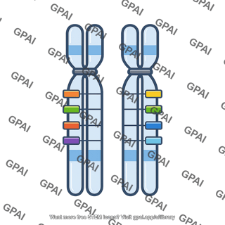 Homologous chromosomes