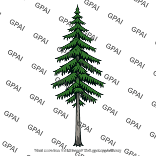 Mountain hemlock