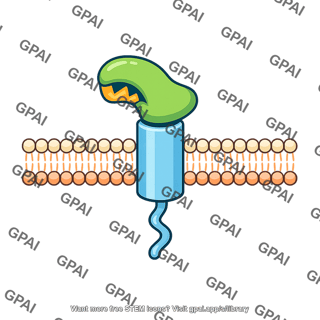 Surface protein receptor altered