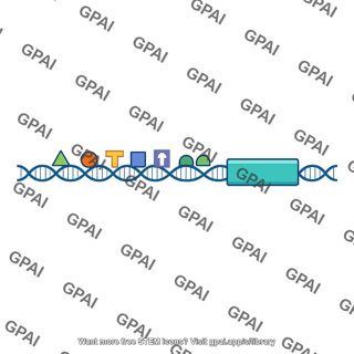 Regulatory dna