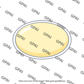 Unfertilized egg oval