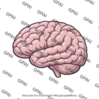 Left cerebral hemisphere