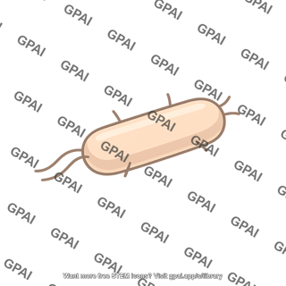 Rhizobacterium