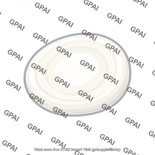 Starch granule