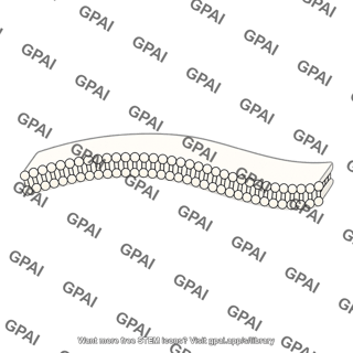 Er membrane