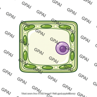 Plant cell