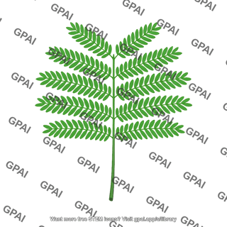 Sensitive plant compound leaf