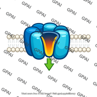 Membrane transport protein