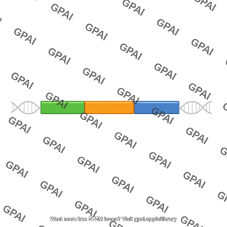 Transgene construct