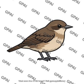 Brown bird