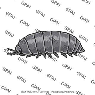 Pill bug