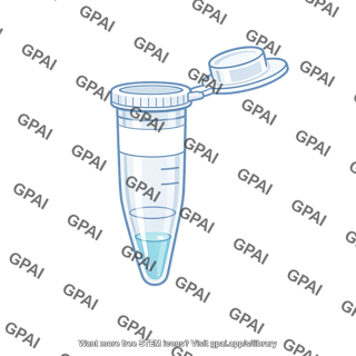 Pcr sample tube