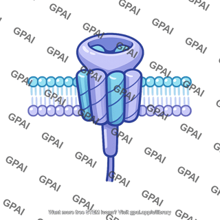 Chemoreceptor membrane protein