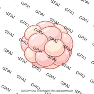 Mammal embryo early cell mass