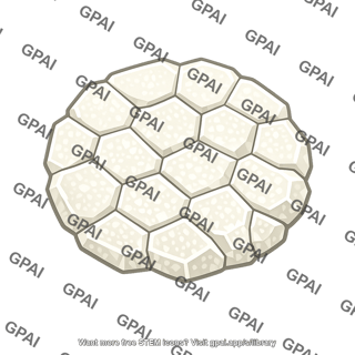 Sea urchin ossicle