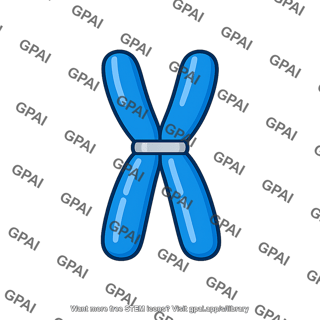 Medium chromosome
