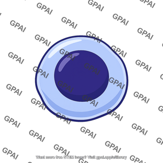 Lymphocyte effector