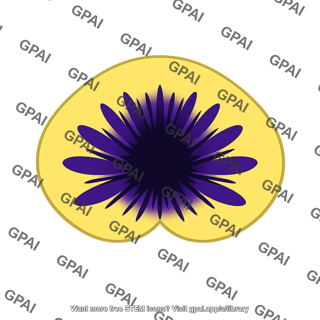 Nectar guide