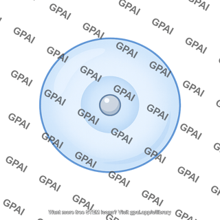 Orbital 2s