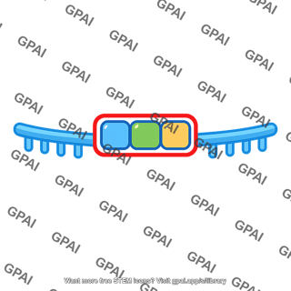Mrna codon stop