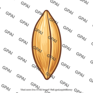 Barley seed