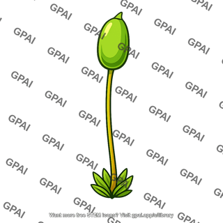Bryophyte sporophyte young