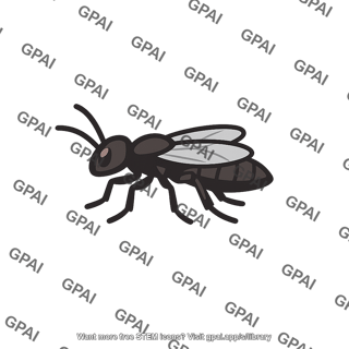 Black insect