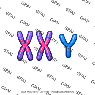 Chromosome set xxy