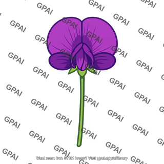 Purple pea flower