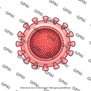Rubella virus