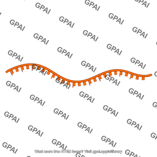 Rna template strand