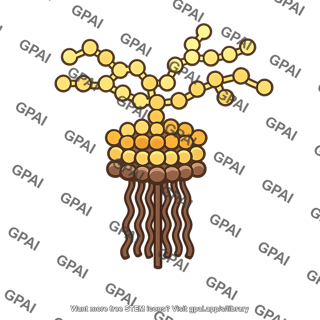 Endotoxin
