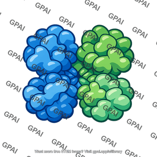 Pyruvate kinase