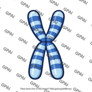 Chromosome stained