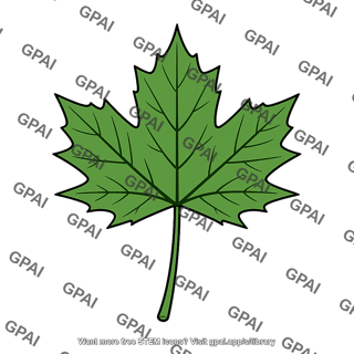 Maple leaf