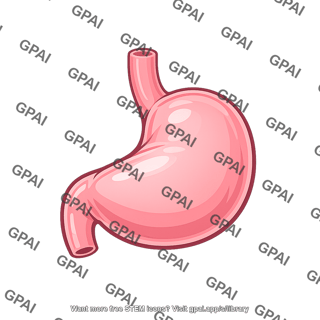 Stomach distended