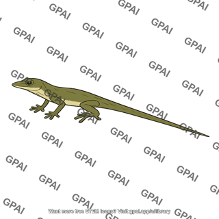 Anolis insolitus