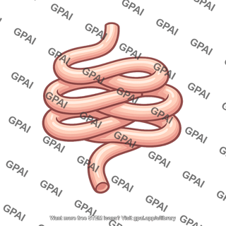 Coiled gut