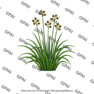 Sedge