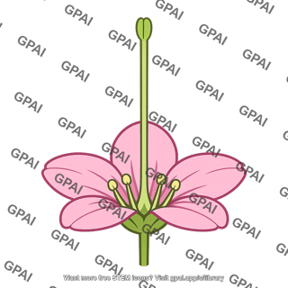 Pin flower