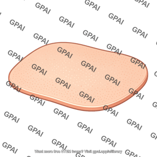 Skin surface patch