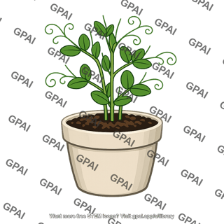 Potted pea plant