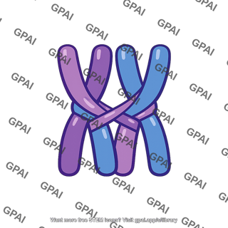 Chromosome condensed prophase i