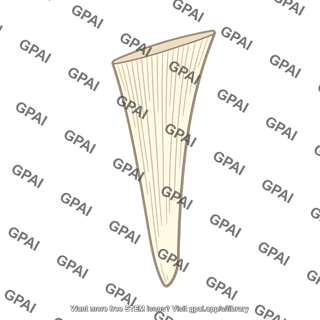 Mushroom lamella