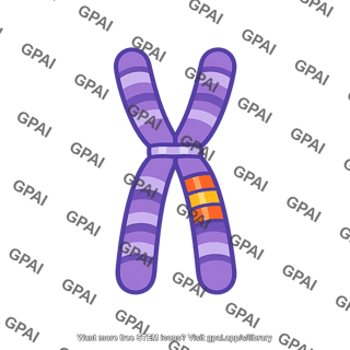 Chromosome inverted