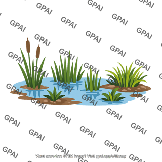 Wetland clipart
